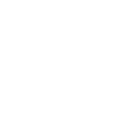 F&S Auto Dealership